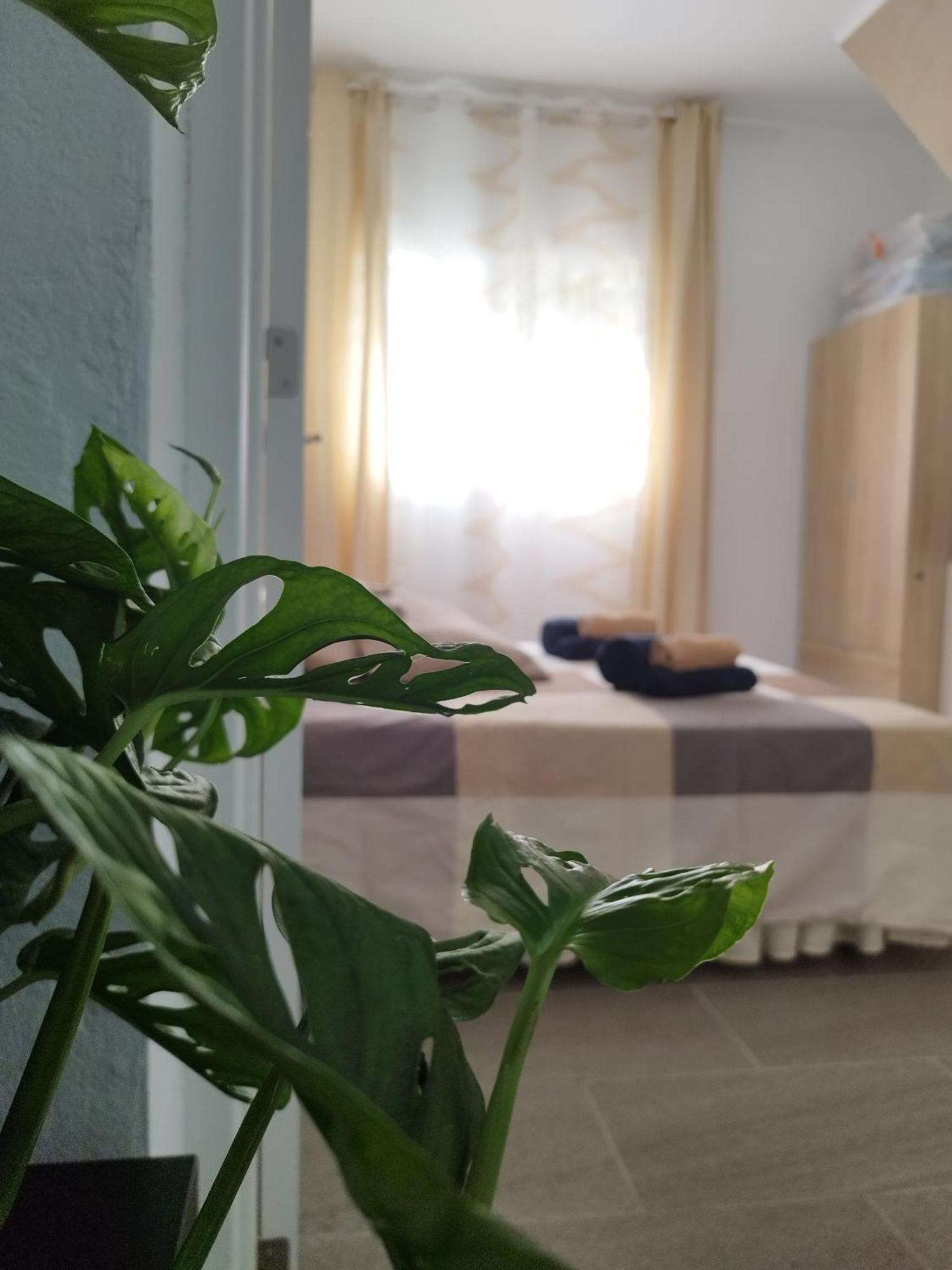 アロナCasa De Maria Luisaアパートメント エクステリア 写真